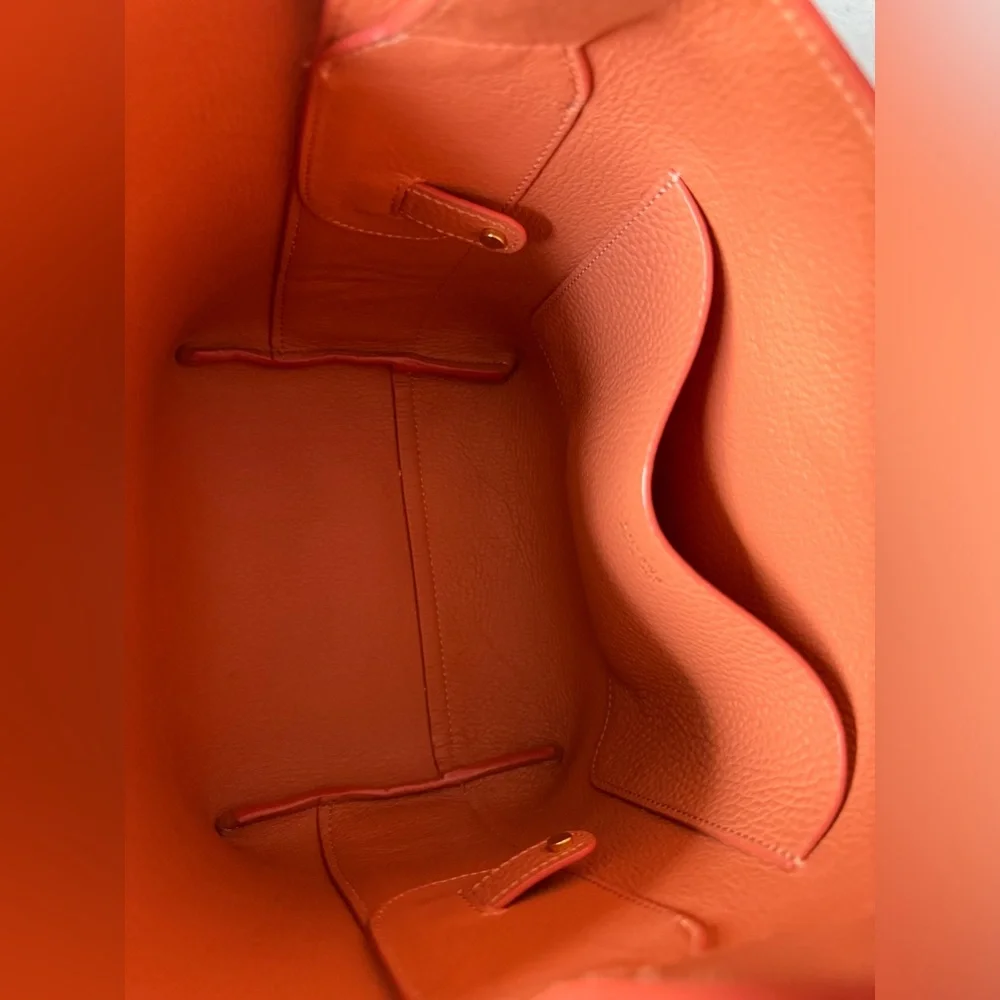NWOT Cuyana Linea Bag in Terracotta Pebbled Leather